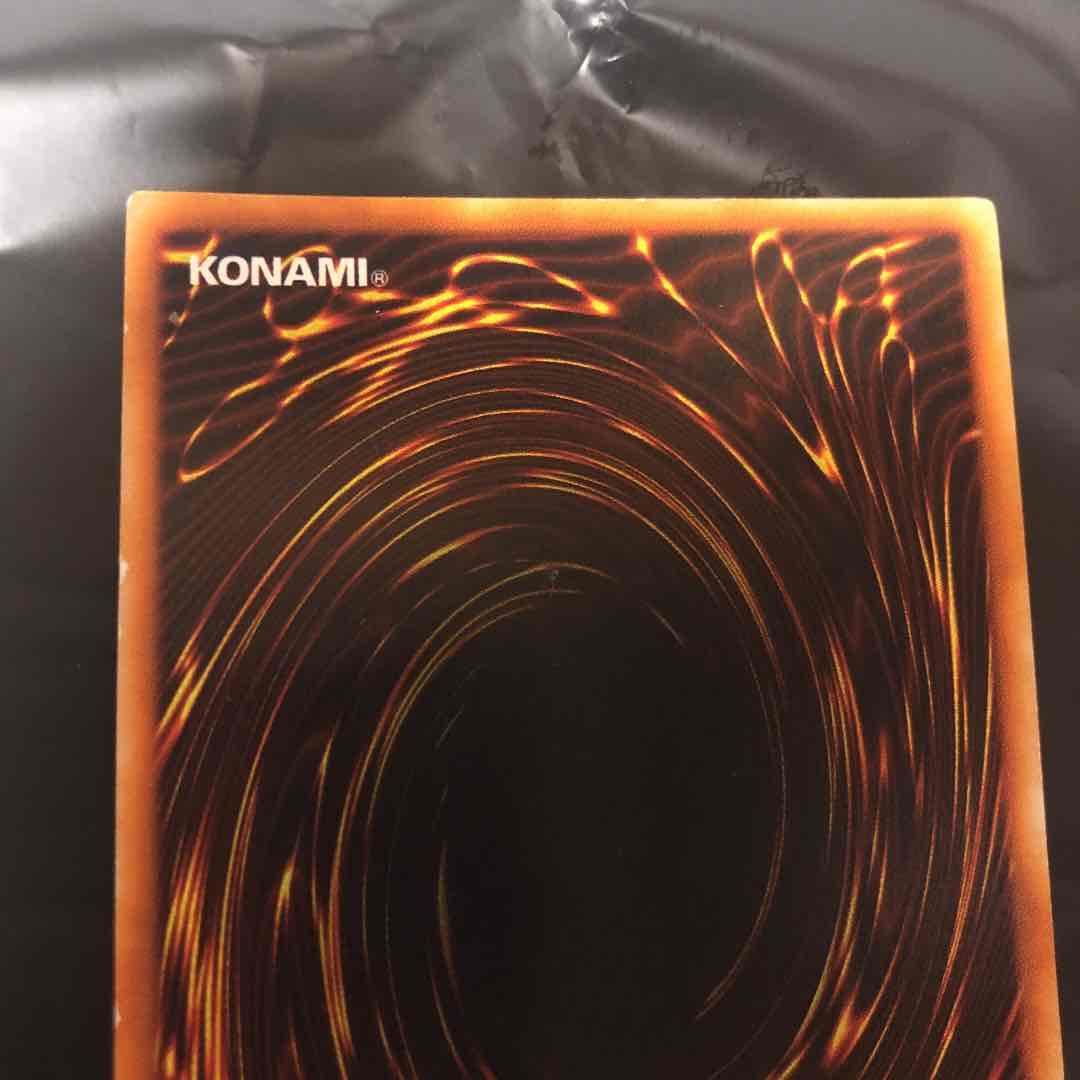 ローダー発送★遊戯王★レッドアイズ・ブラックメタルドラゴン★シク