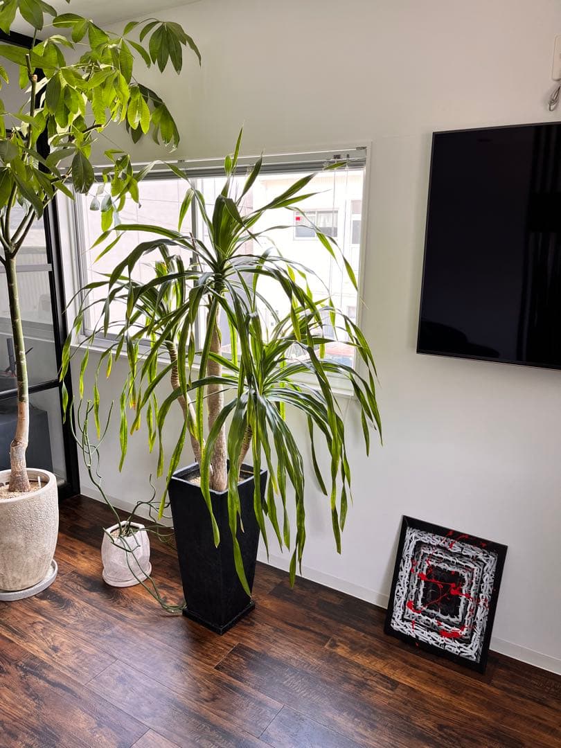 現代アート　原画一点物