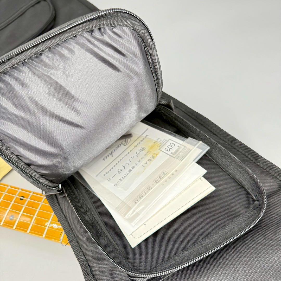 Bacchus BTL-HH　テレギブ　テレキャスター　バッカス