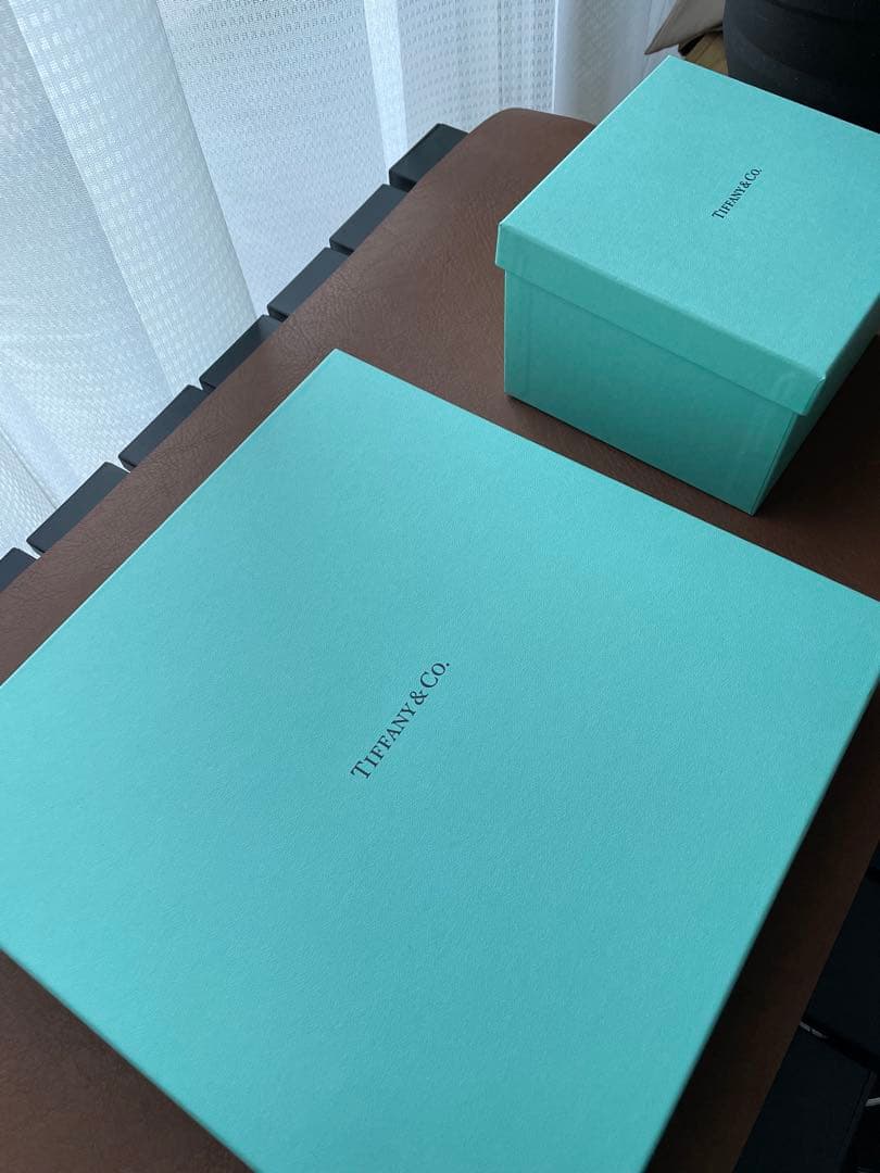 【希少】Tiffany & Co. ×SOPH20ANNIVERSARY