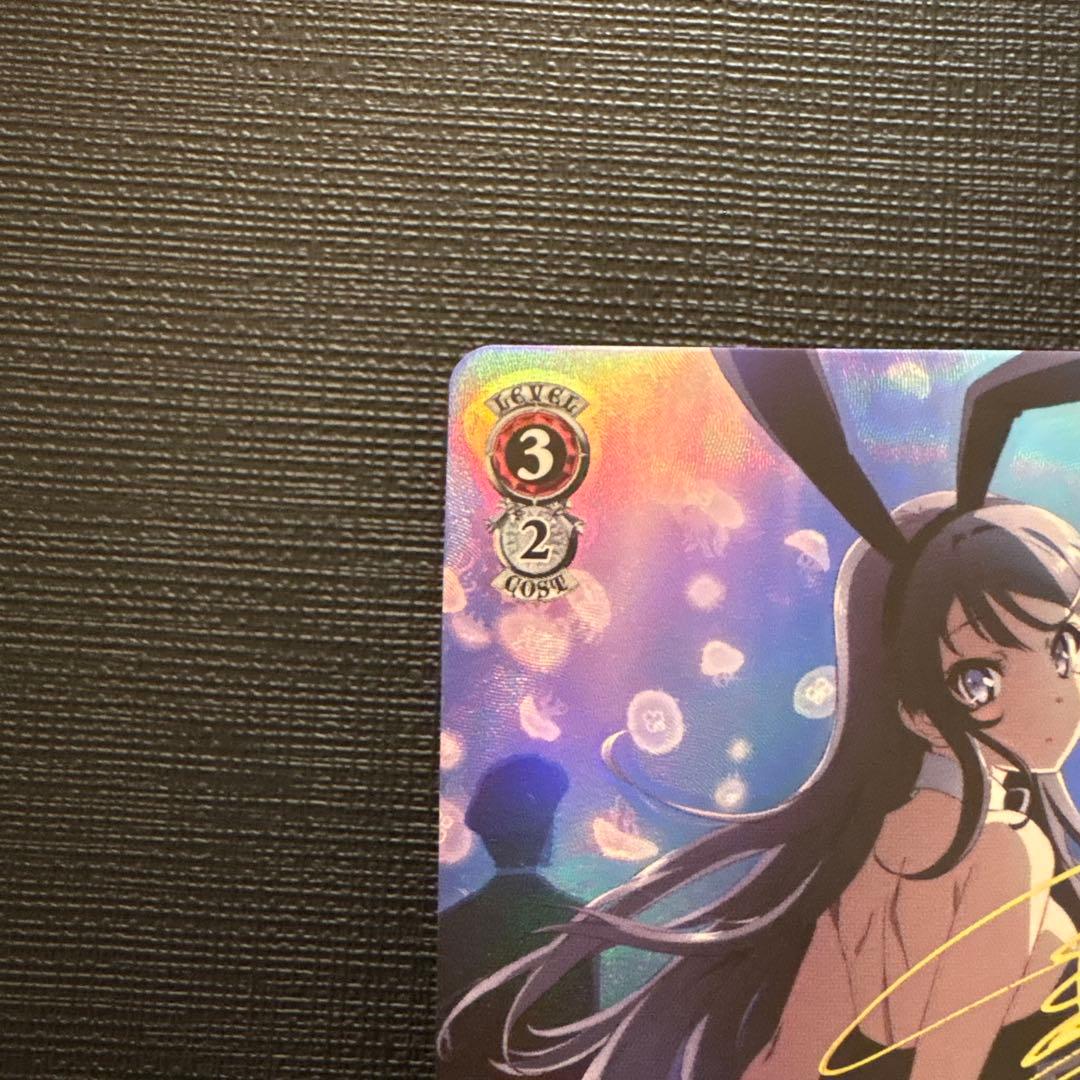 泡沫の存在　桜島 麻衣　TDSP