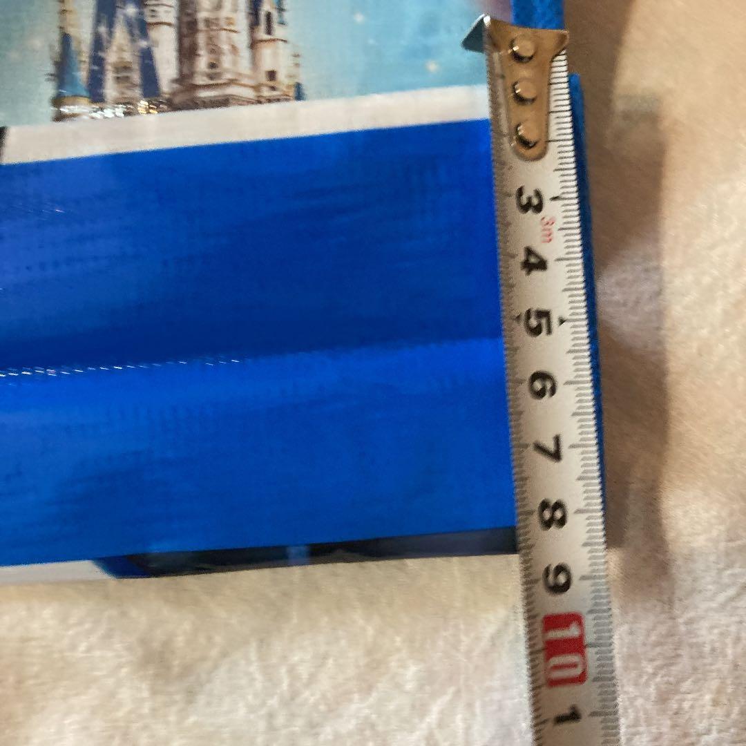 ショッピングバッグ　ディズニー　ランド　シー　ミッキー　ミニー　20x26x8