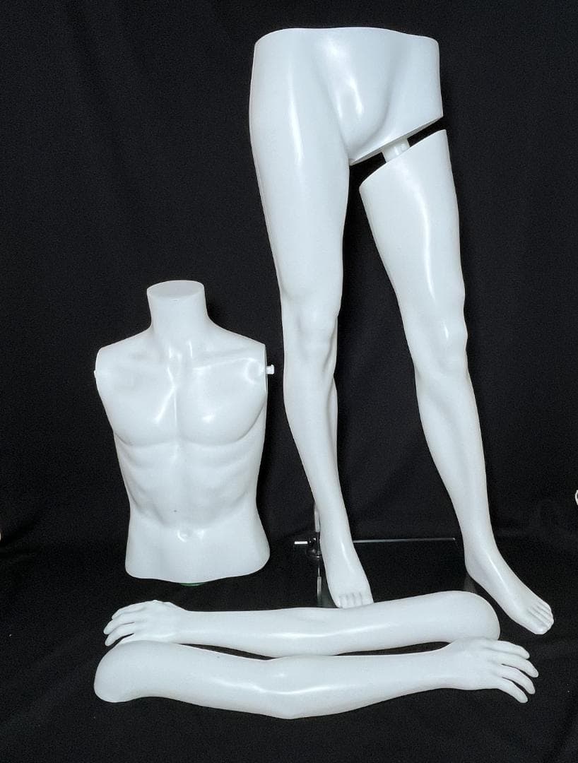 マネキン ボディトルソー ヘッドカットマネキン 軽量PE製 着せ替え楽々男性