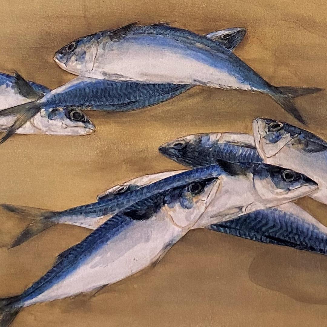 高野晴生、【鯖】、希少な額装用画集より、新品額装付、状態良好