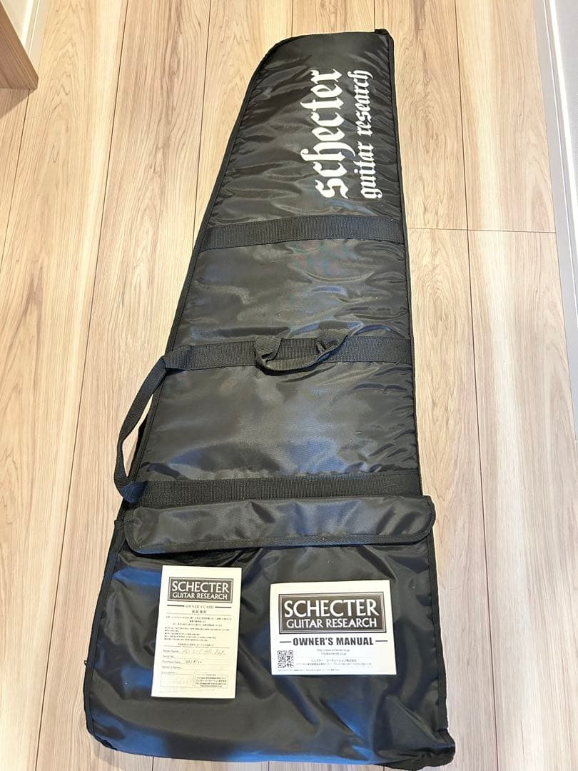 シェクター　ヘルレイザー EMG搭載