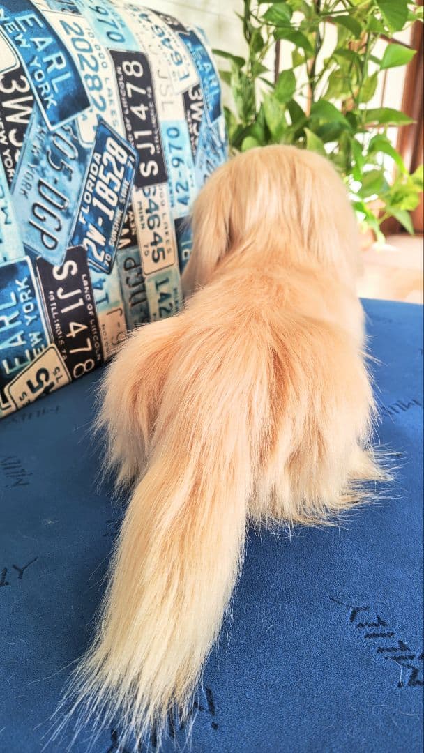 ダックスフントぬいぐるみ