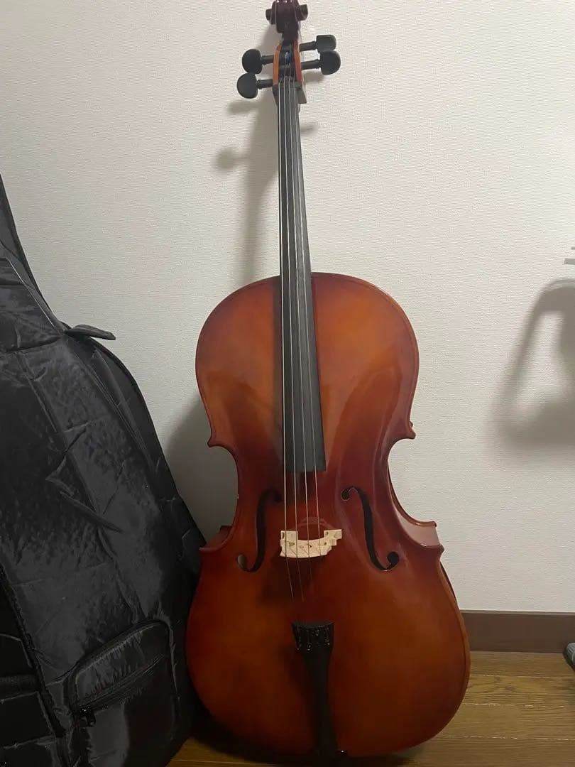 【期間限定】チェロ Carlo Giordano カルロジョルダーノ　4/4