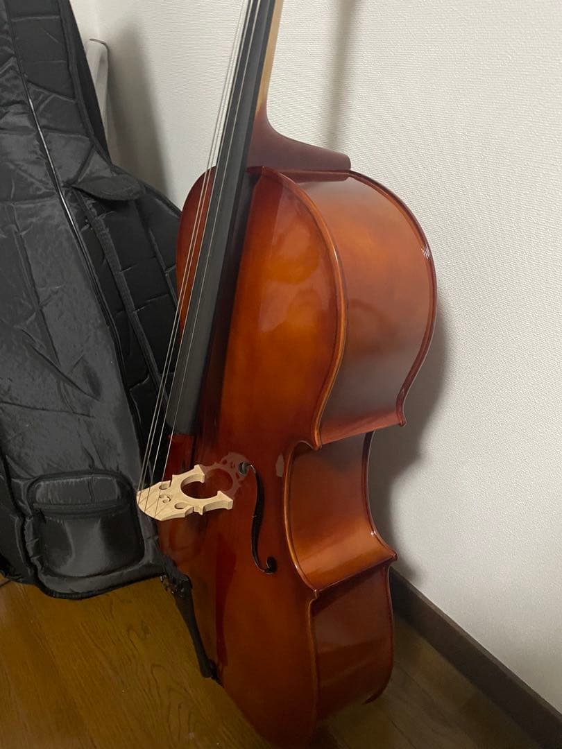 【期間限定】チェロ Carlo Giordano カルロジョルダーノ　4/4