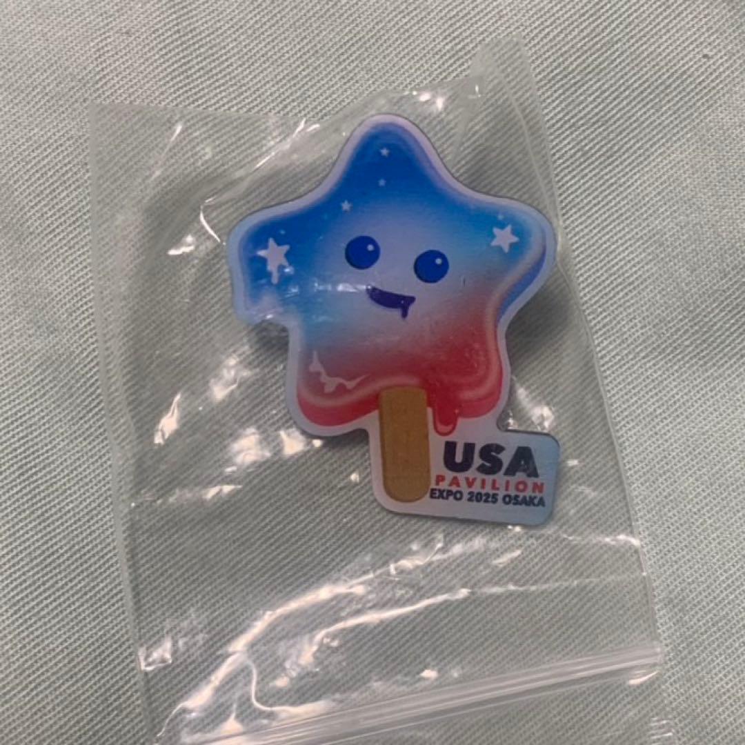 【激レア】　アメリカ館　ナショナルデーピンバッジ