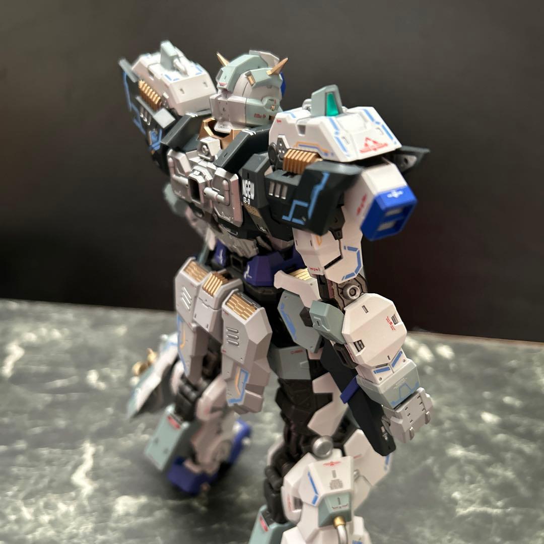 EDDAS 1/100アスガルド 中華プラモ　プラモデル完成品