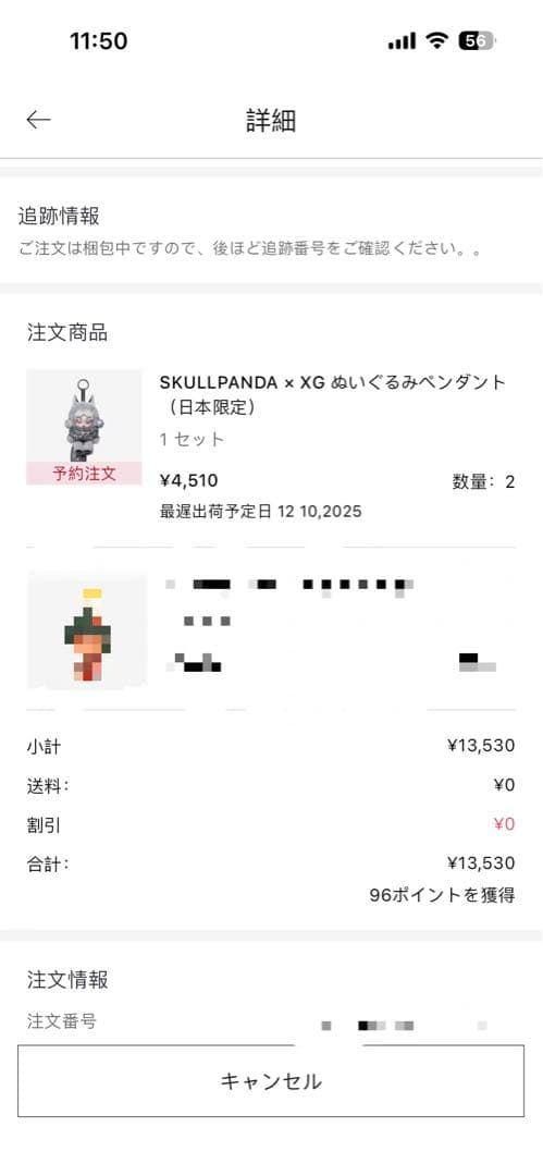 ポップマート スカルパンダ × XG ぬいぐるみペンダント（日本限定）