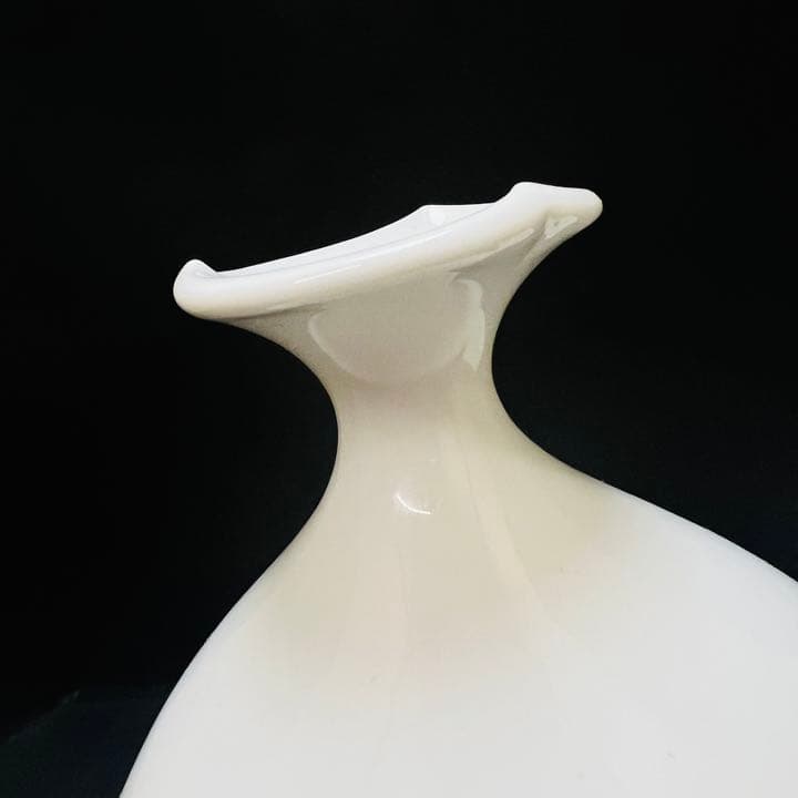 日展作家　伝統工芸作家　藤井朱明作　花瓶　花入　壺　略歴付 専用