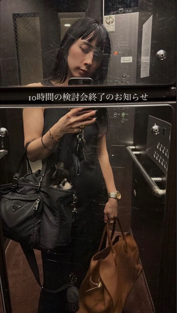 PRADA RE-NYLON トライアングル ロゴ ペットキャリー バッグ