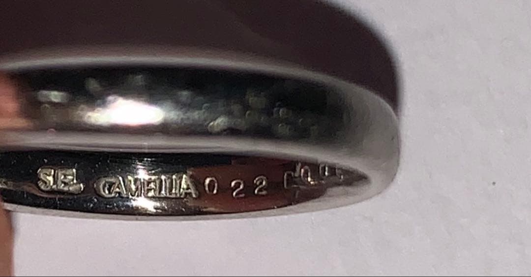 アクセサリー T ANZ