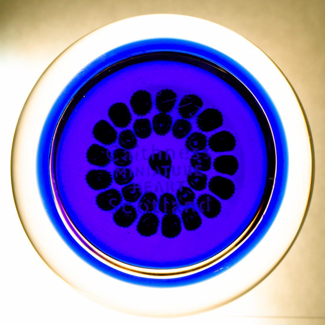 ケイスネス Caithness ミニチュアハート ペーパーウエイト 置物