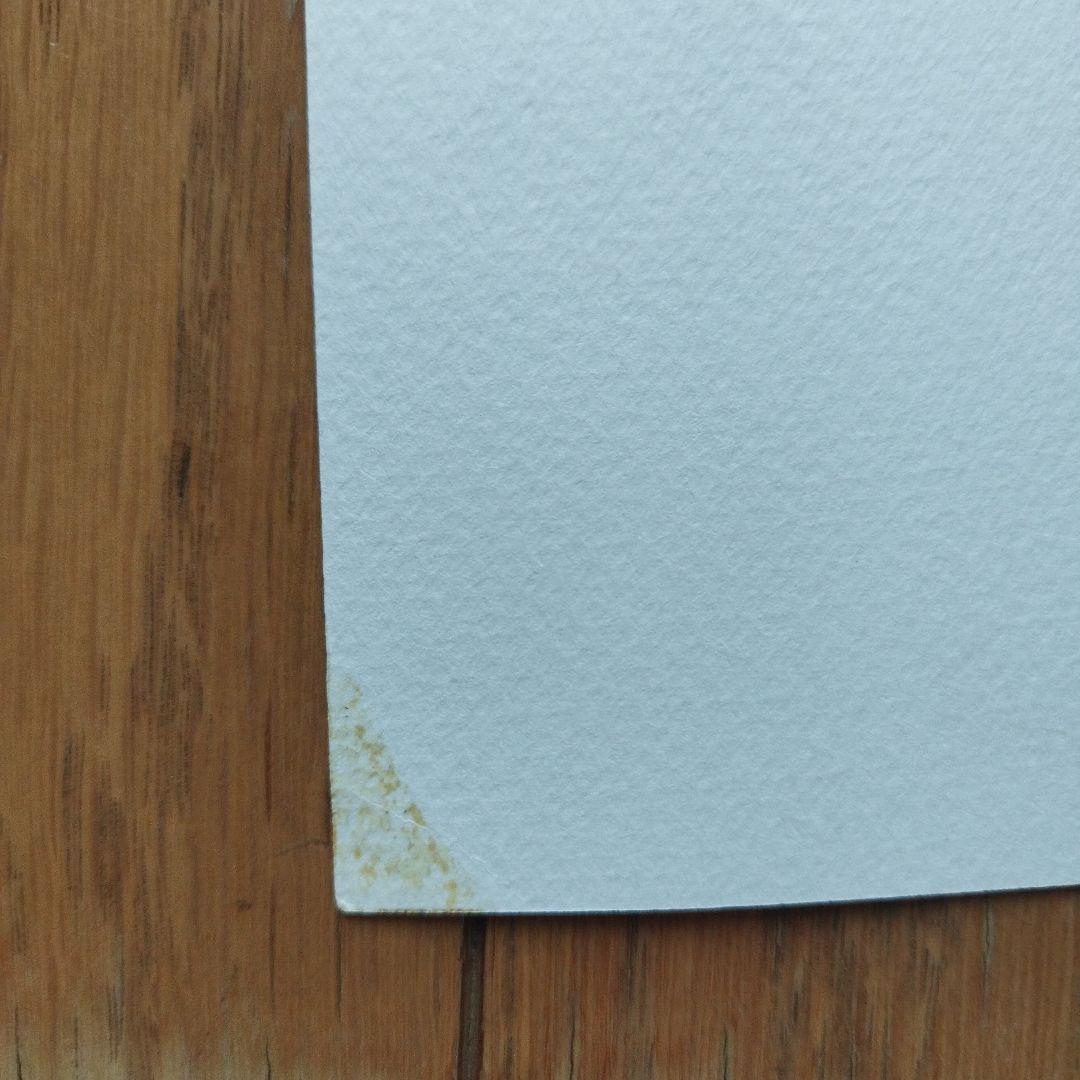 ロザリープルッシング