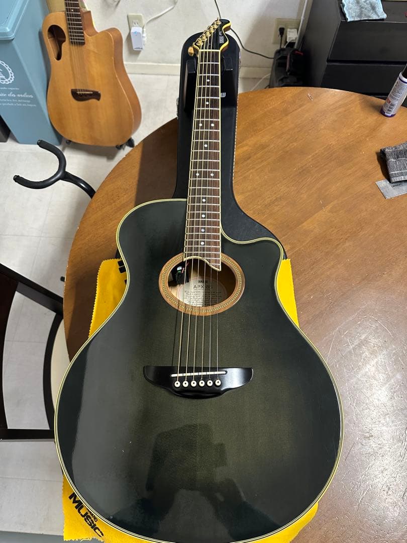 YAMAHA APX-8S 長渕剛氏