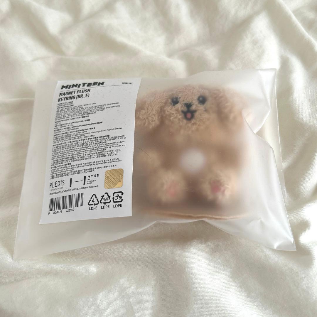 ミニティーン MAGNET PLUSH KEYRING DOA ドア ドギョム