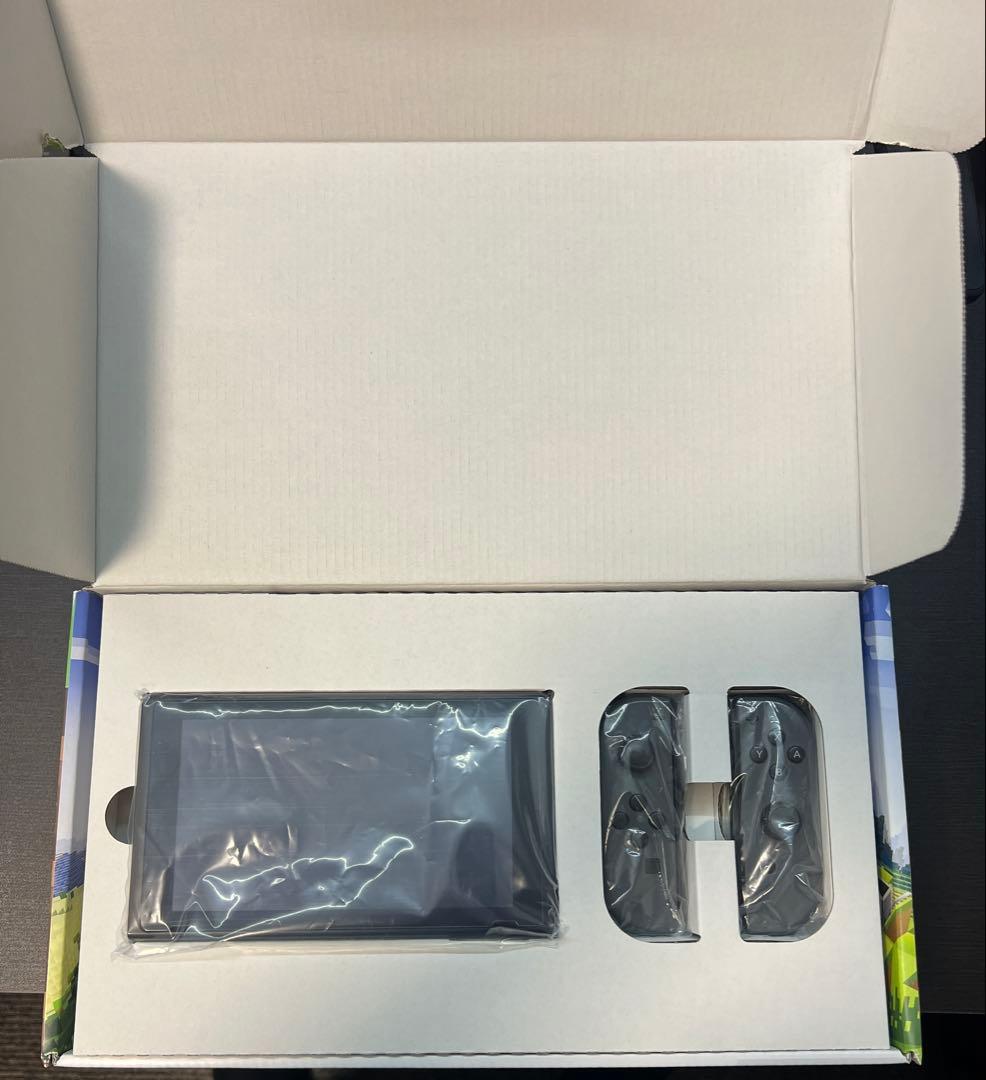 (206) Switch マインクラフト セット ※マイクラのソフトはありません