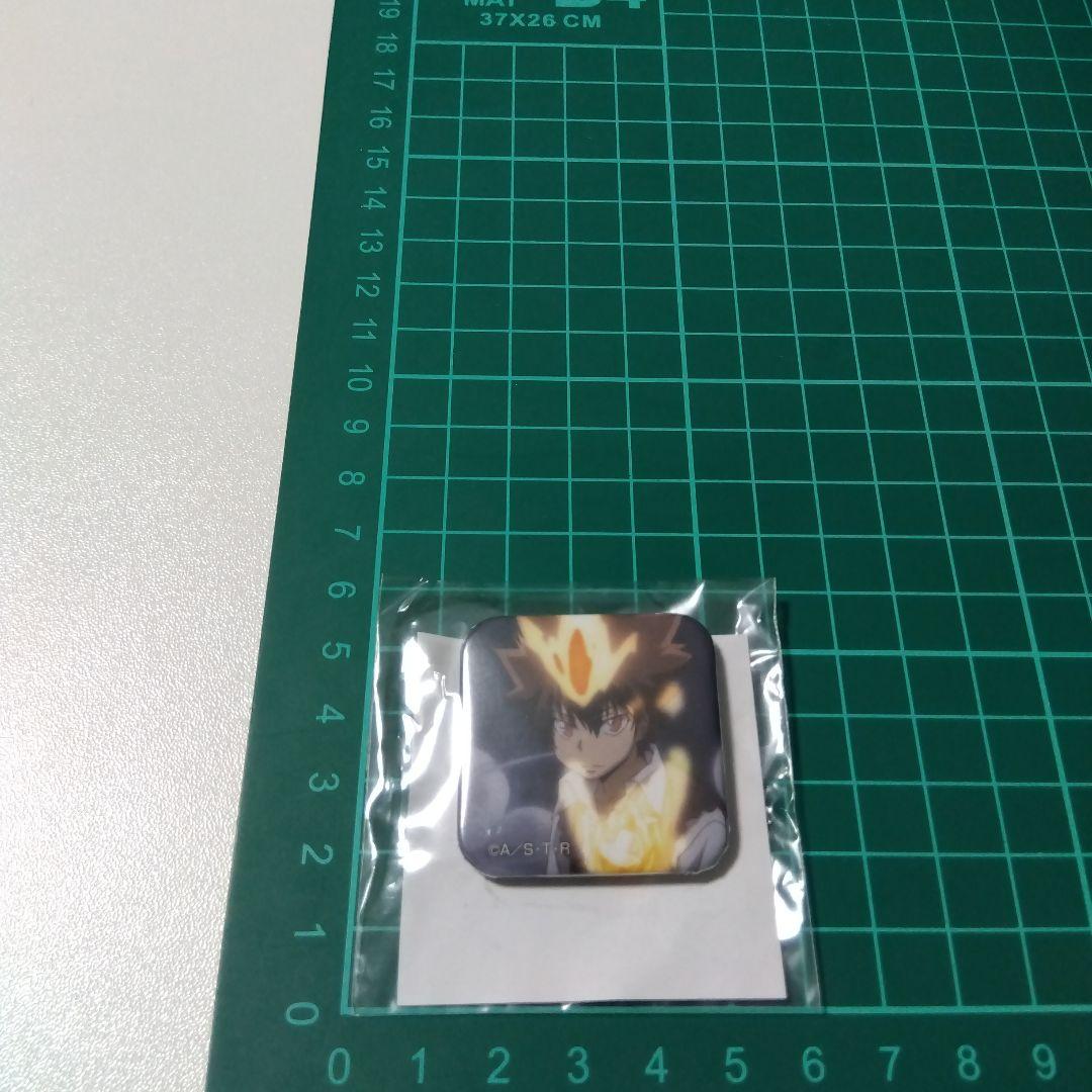 【REBORN!】沢田綱吉 ツナ キャラポップストア ガラポン 缶バッジ