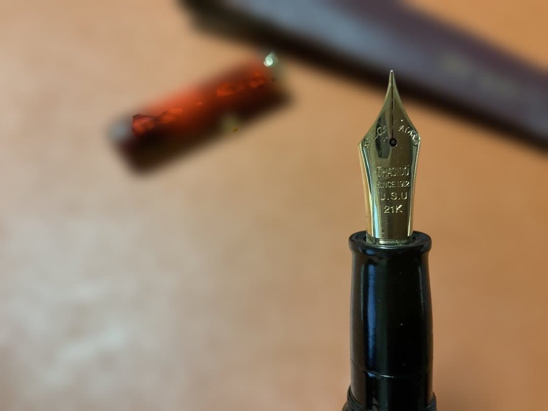 大橋堂　万年筆　エボナイト　ペン先21K ケースつき