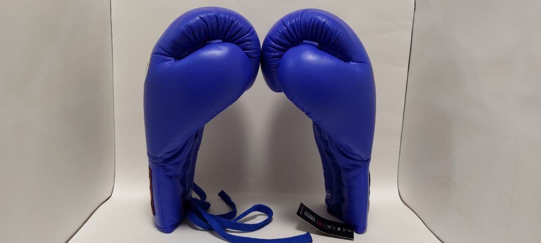 ツインズスペシャル TWINS SPECIAL グローブ 16オンス 紐式　青