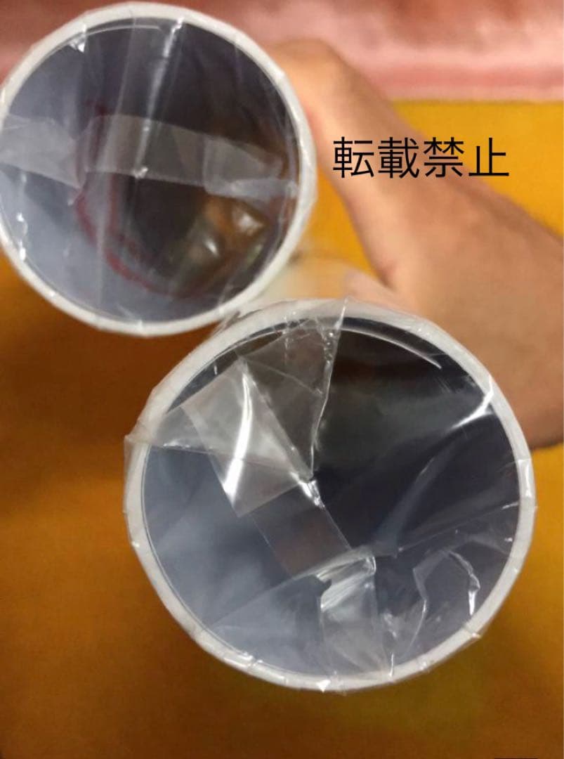 武田玲奈　等身大ポスター　２種類セット