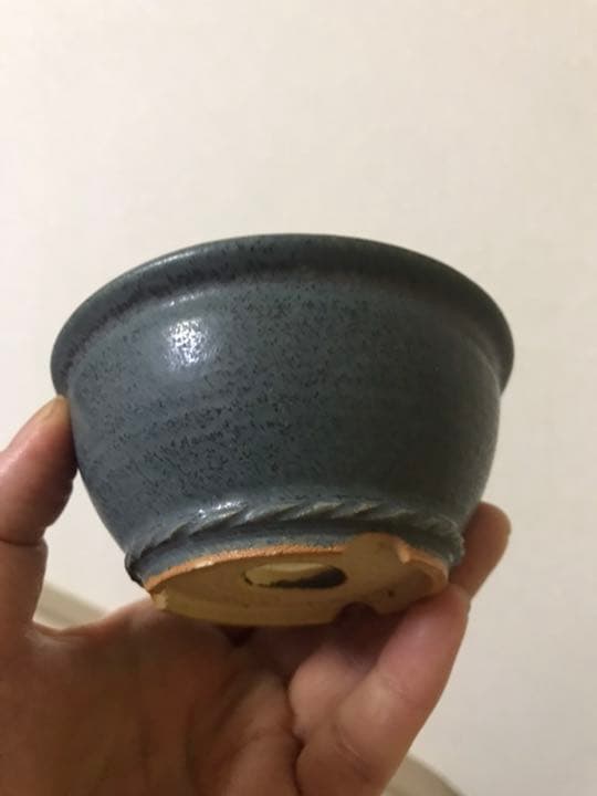 盆栽鉢美品ミニ盆栽鉢美豊光山他、緑長方鉢多肉植物サボテン山野草、名品展出品記念鉢