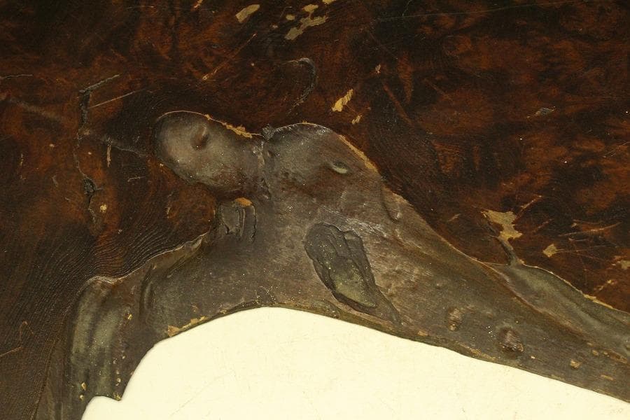 自然木 葡萄木 敷板 大判 91.5cmx53cm 花梨 紅木 銘木(A462)