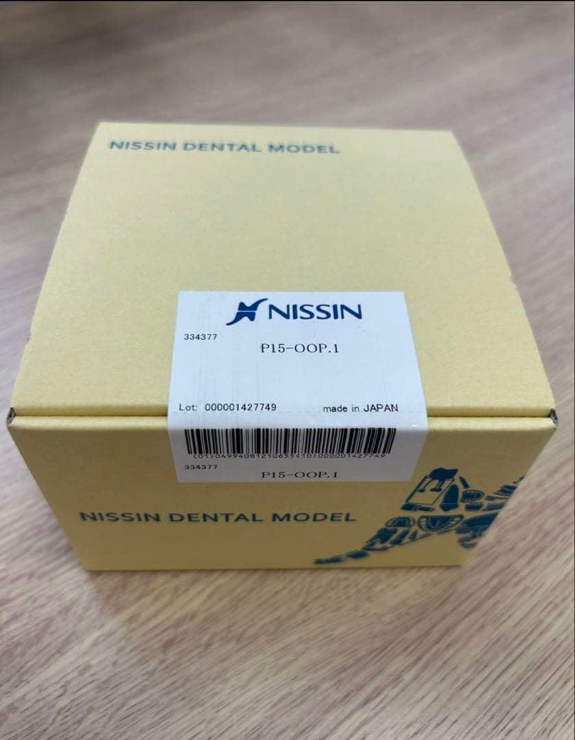 NISSIN 口腔外科模型P15-OOP.1 新品未開封