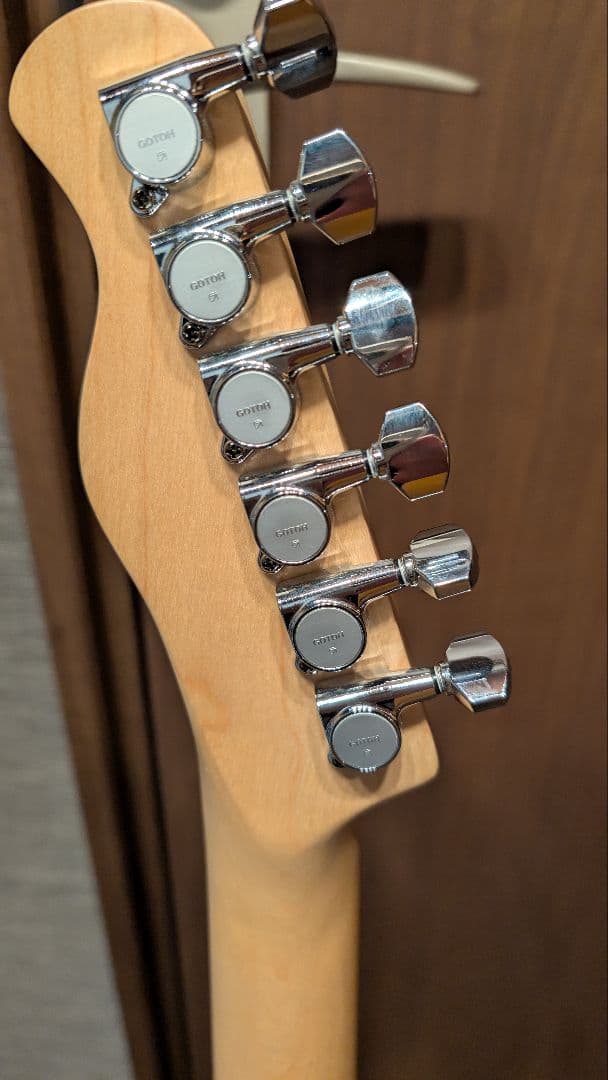 【本体ジャンク】Bacchus BTE-1M ＋EMG/GOTOH製パーツ