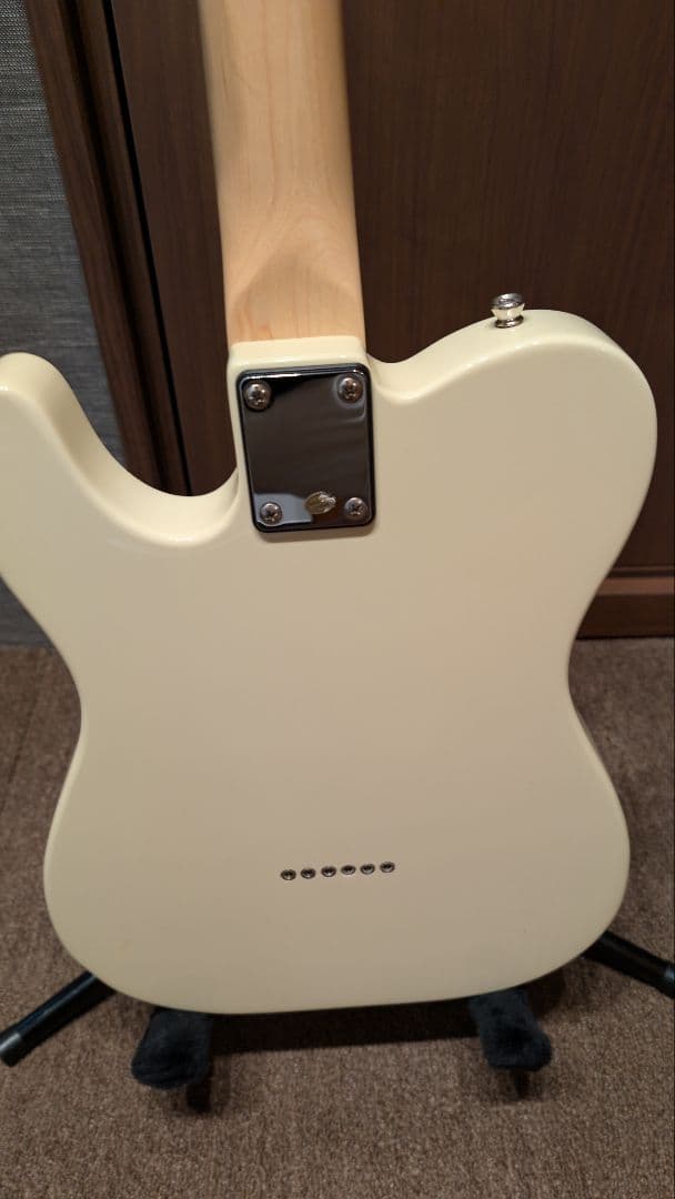 【本体ジャンク】Bacchus BTE-1M ＋EMG/GOTOH製パーツ