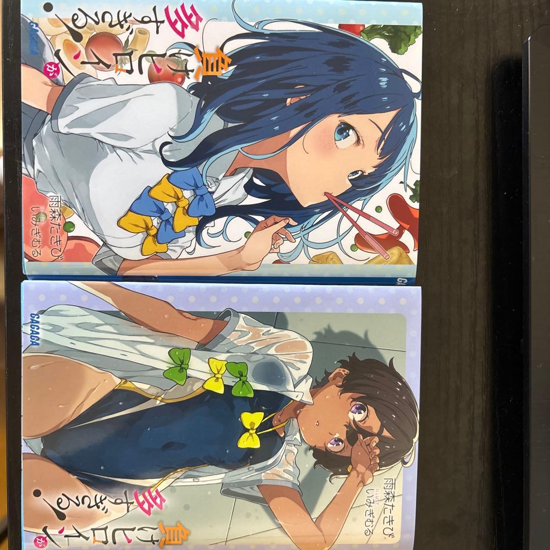 負けヒロインが多すぎる カバー付き