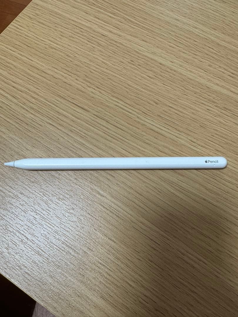 iPad Pro (11インチ) 第2世代 Apple Pencil付き