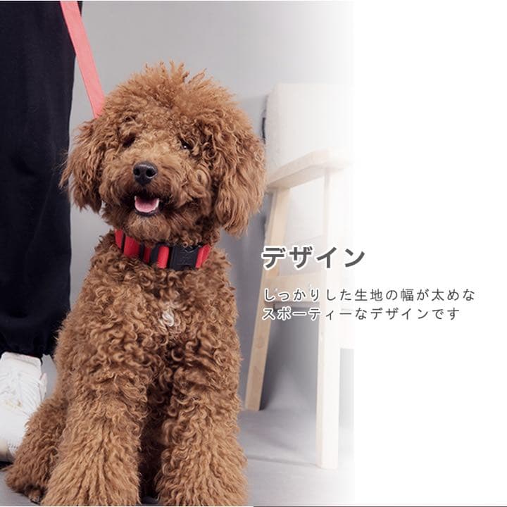 光るペット用首輪 LED 取り外し可能 サイズ豊富 カラー豊富