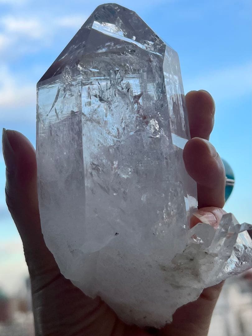 美✨超希少✨AAAAA 特大 コロンビアレムリアン✨my collection✨