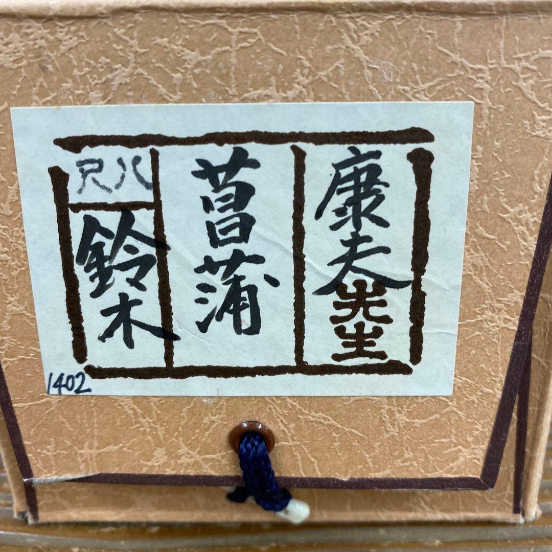 美品 掛け軸 鈴木康夫作 菖蒲図 共箱 太巻き付 夏掛け