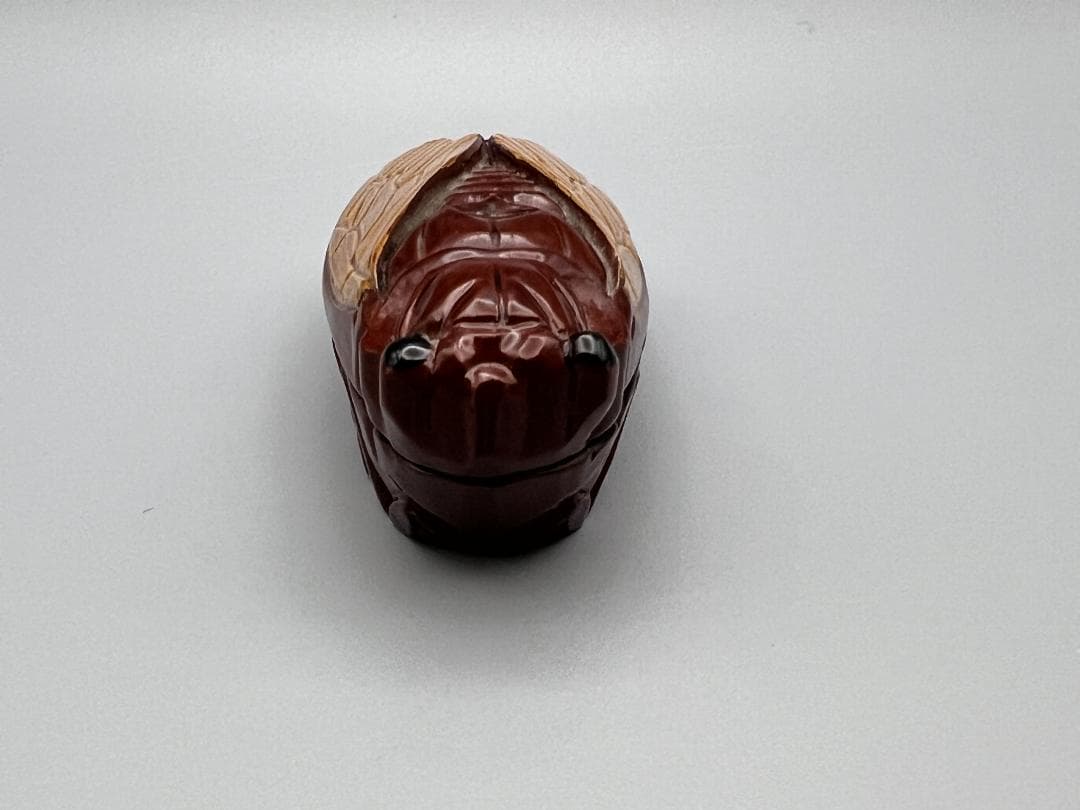 【海】香合　蝉　般若勉作　（号　雲舟）茶器　茶道具　共箱付　新品未使用