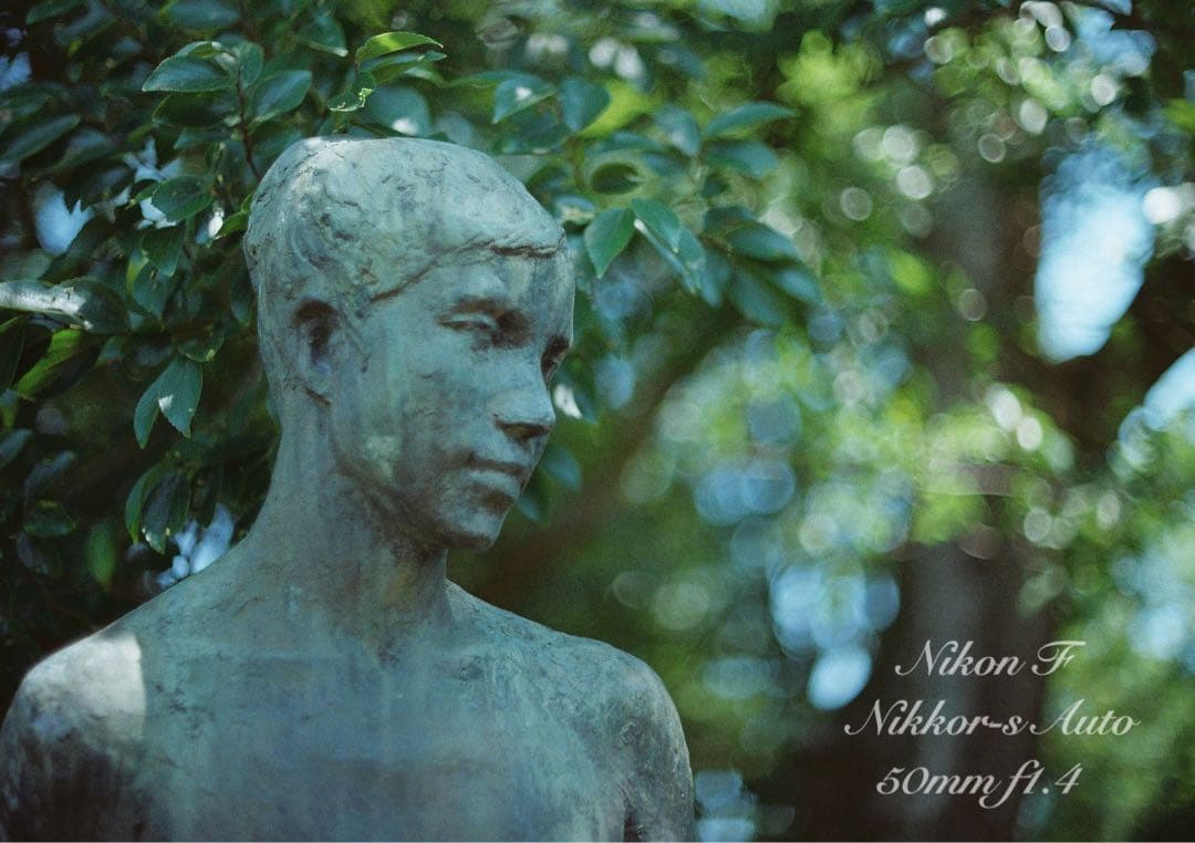 ★完動品＊美品★nikon f フォトミックftn／50mm f1.4／作例多数