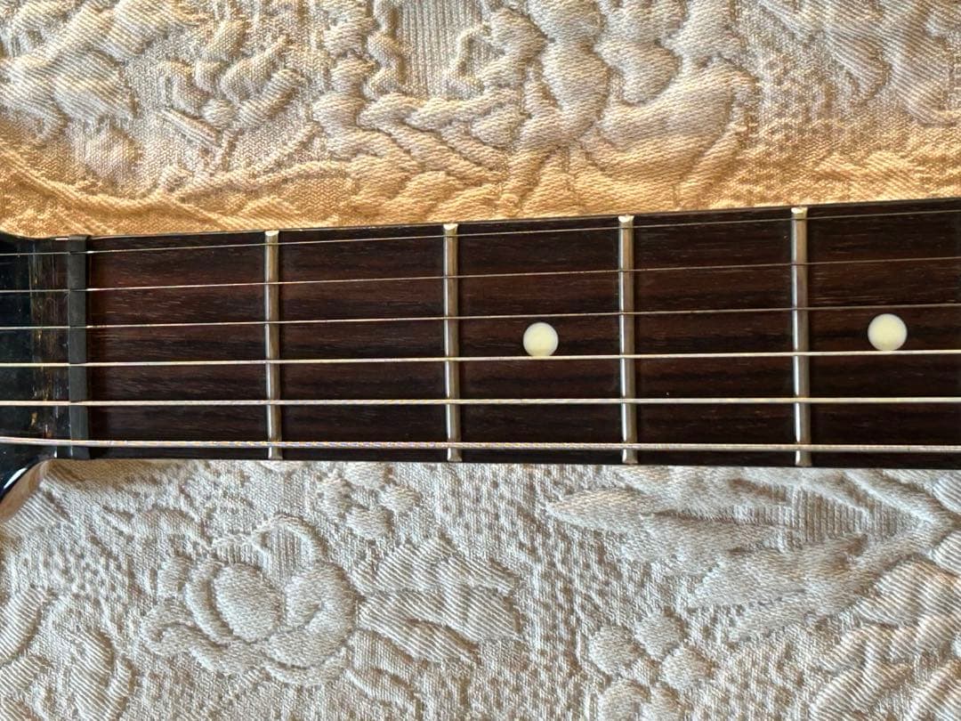 Bill Lawrence BCOR-55G シャケモデル　後期モデル