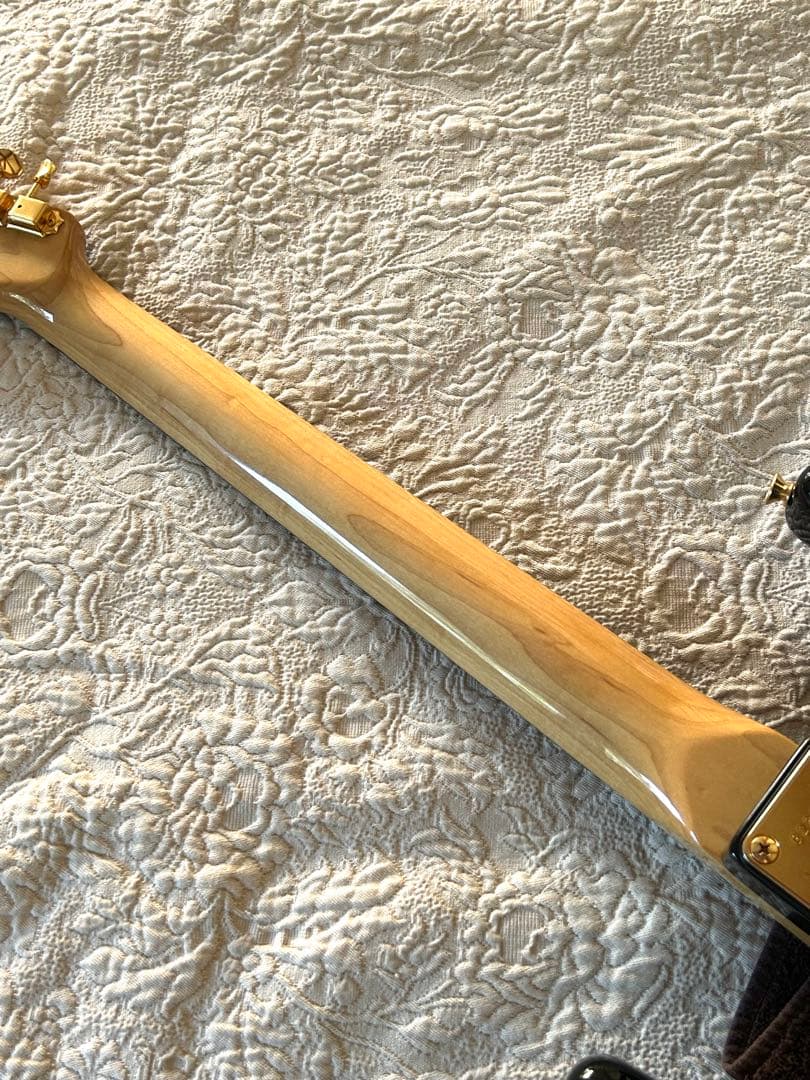 Bill Lawrence BCOR-55G シャケモデル　後期モデル