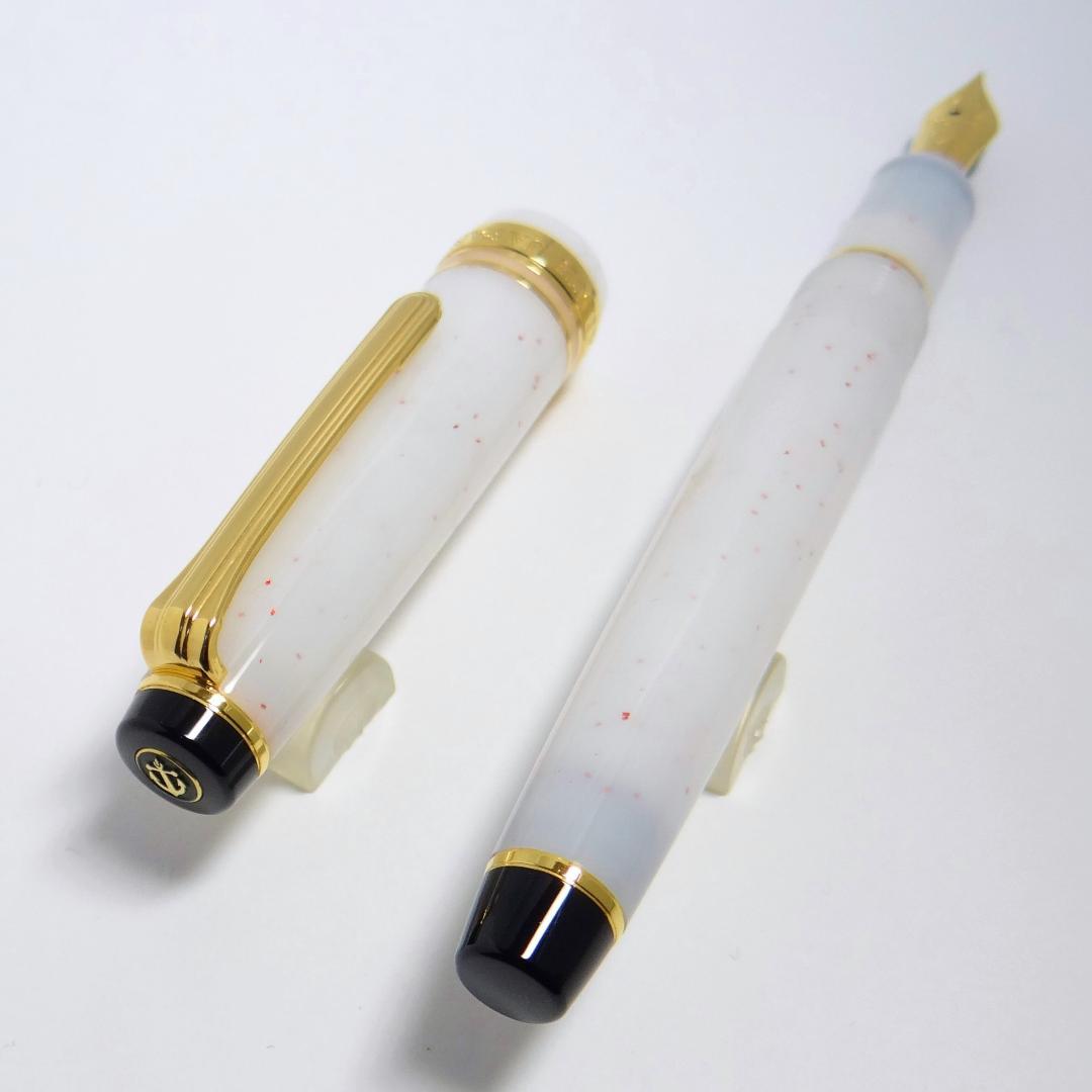 【訳有・状態良好】セーラー 万年筆 四季織 雪月空葉 雪椿 SAILOR