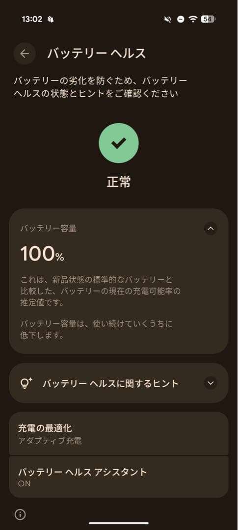 Google Pixel 9 Pro 128GB Porcelin SIMフリー