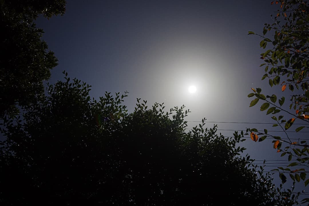 α1検証済｜Tamron 28-200mm F2.8 実写 家族旅行の失敗ゼロ