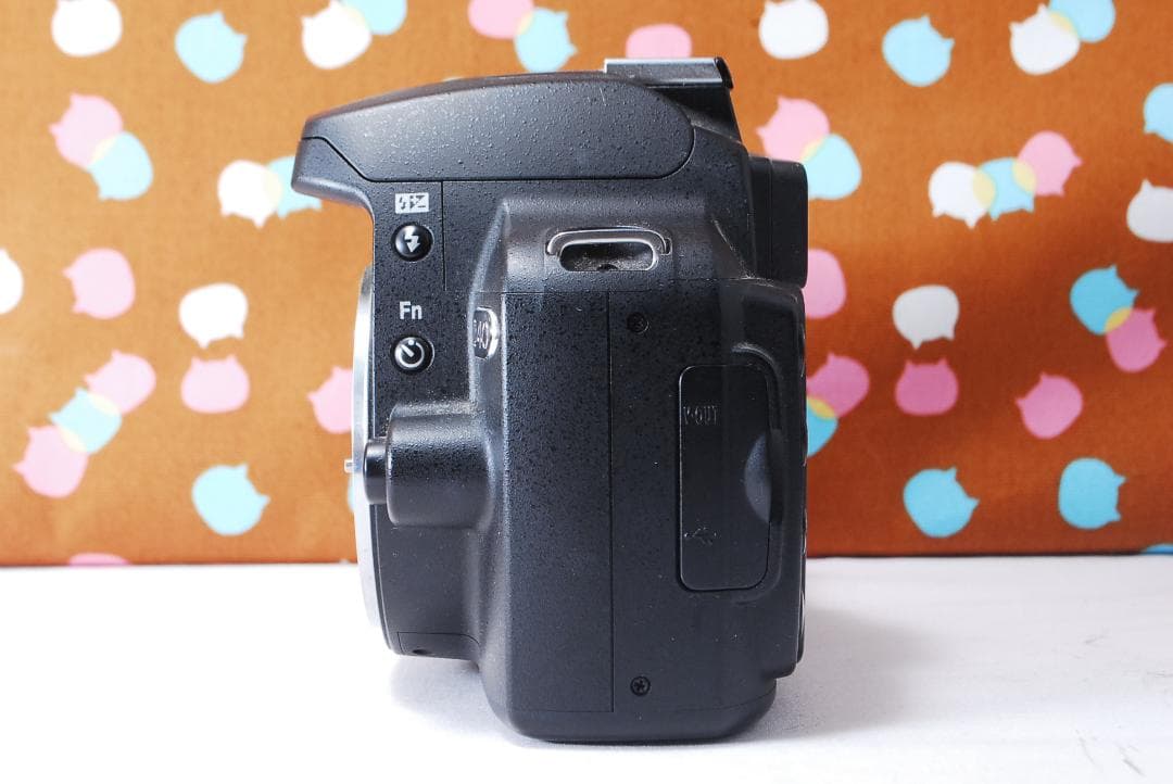 ✨ショット数3295回✨望遠レンズ付き✨Nikon D40 レンズセット