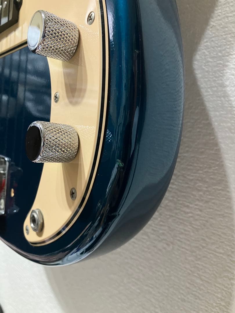 Vanzandt PBV-R2 マダガスカルローズ指板