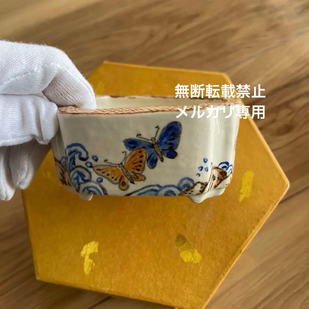 ミニ盆栽鉢　桑津香石　絵鉢　小品盆栽　蝶　波