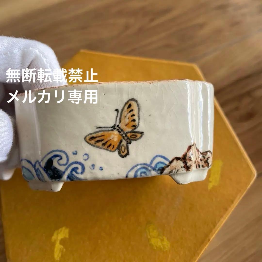 ミニ盆栽鉢　桑津香石　絵鉢　小品盆栽　蝶　波