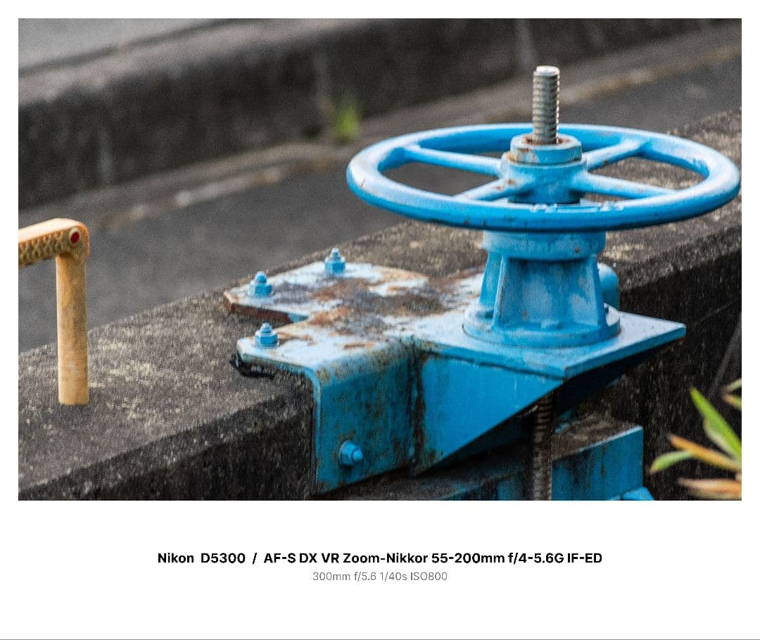 Nikon 55-200mm F4-5.6G 中望遠レンズ 美品 防湿庫保管