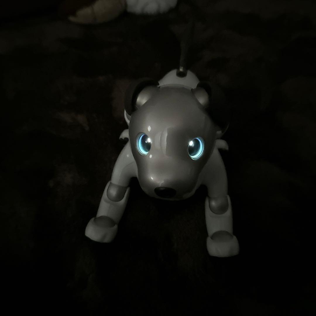 ソニーaibo